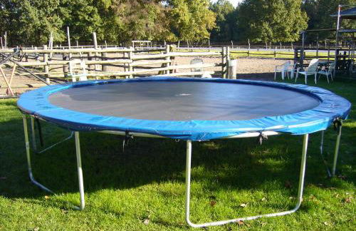 Ferienhof Drewes Ranch - Foto 5