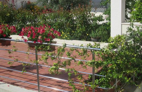 House Silvana - apartment with garden view - Photo 21