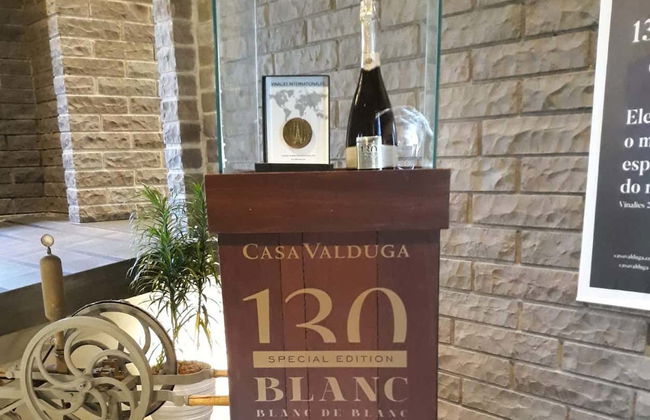 Tour delle cantine di Bento Gonçalves e Garibaldi - Foto 7