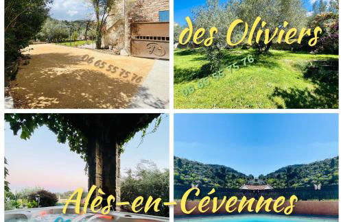 Le domaine des Oliviers ALES Piscine Jacuzzi Sauna - Foto 15