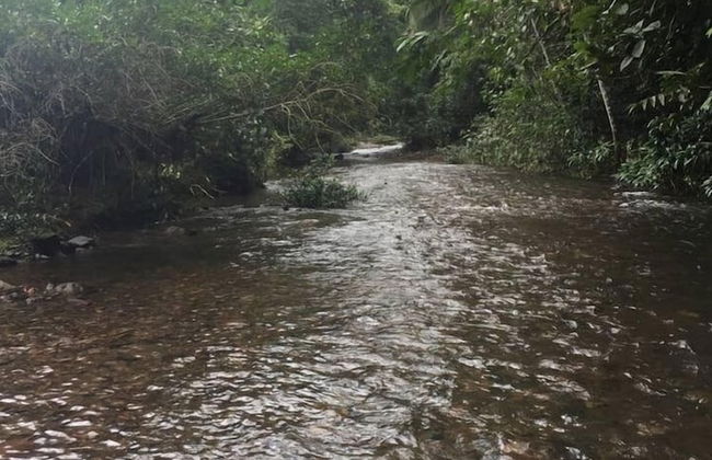 Orchard House - Photo 29