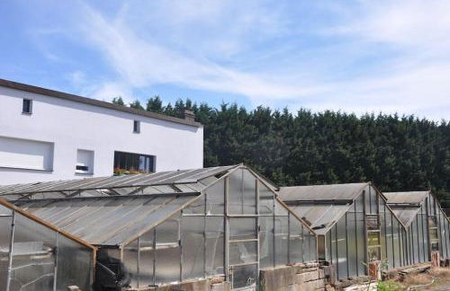 Gite St Nicolas ancien corps de ferme horticole - Photo 23