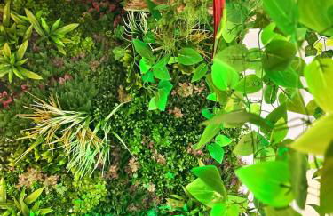 Jungle Suite Jacuzzi Spa Terrasse, Wi-Fi & Parking PV - Foto 11