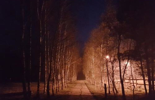 Agroturystyka Pod Modrzewiami - Foto 74