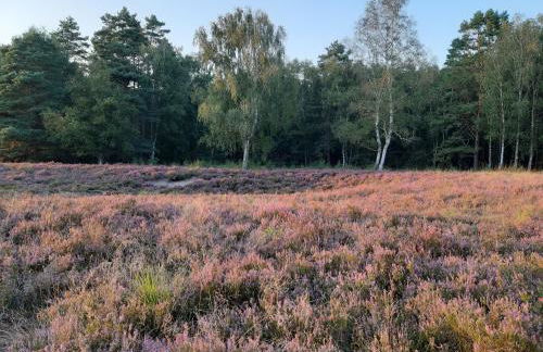 Ferienwohnung Zinne-Wigger - Foto 38