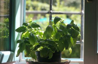 Il Borghetto Andrea Tafi - Foto 65