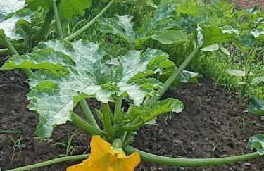 HAUT VILLA MESANGES EN BORD DE MER ! - Foto 78