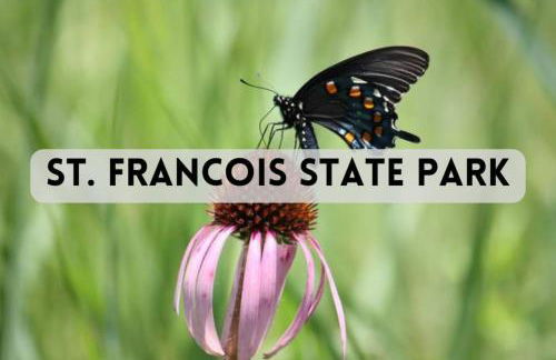 TELLURIDE - Tiny Houses Of French Village - Foto 138