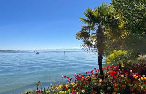 Sonniges Balkonapartment, Ahausen - Foto 29