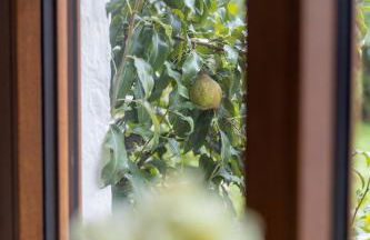 Stadtvilla Falkenstein - Foto 6