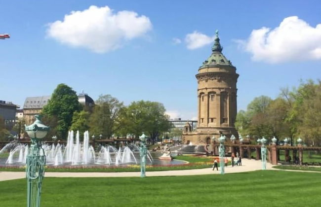 1 bedroom apartment in prime location - Photo 26