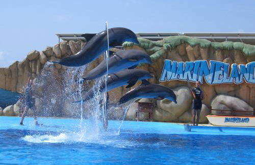 APARTAMENTO CON WIFI Y PISCINA EN BLANES FRENTE A LA PLAYA - Costa Brava - Foto 33