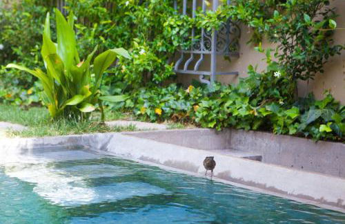 Fàbrica Descals and Pavillion - Foto 39