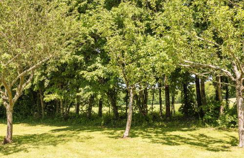 Rustic Chic Country Cottage - Foto 21