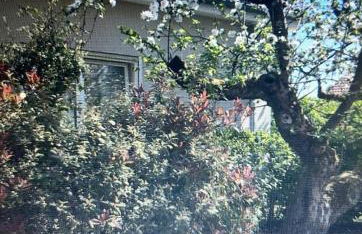 Ferienwohnung Am alten Apfelbaum - Foto 19