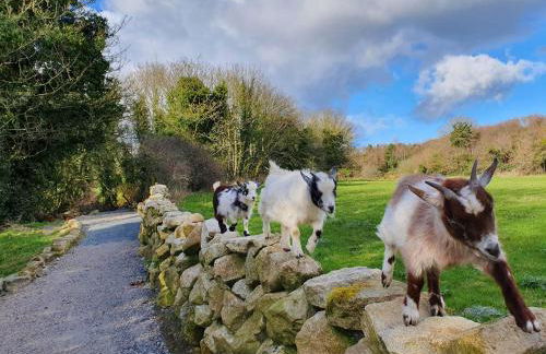 The Green Holiday Cottages - Foto 17