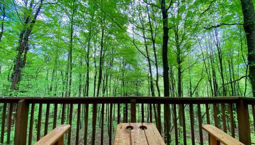 Elk - by The Chalets - Foto 2