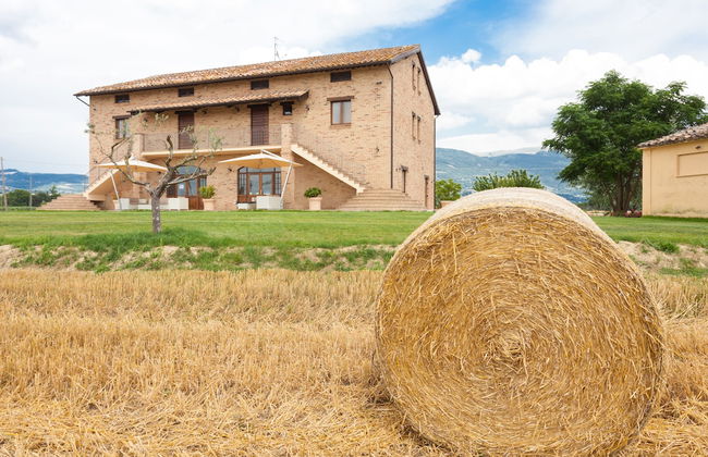 Assisium Agriturismo - Foto 26