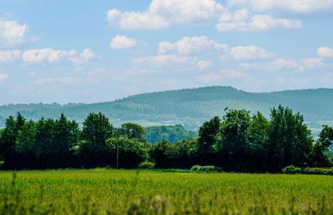 The Coach House Barn - Foto 20