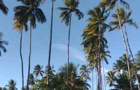 Souzas House - Foto 14