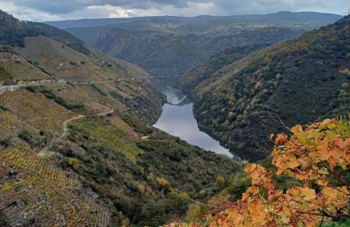 Casa Tome A Teixeira - Ribeira Sacra - Foto 29