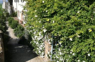 Agriturismo Podere il Fornacino - Foto 62