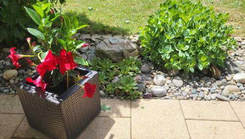 Haus Obere Weinburg - Foto 3