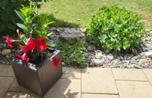 Haus Obere Weinburg - Foto 3