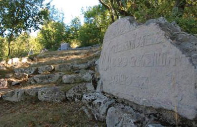 Apartman Tri palme - Foto 24