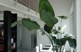 Ferienwohnung Himmlingen - Foto 21