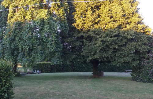 Le Cottage de L Abbaye - Photo 35