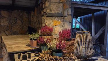 Ostoja Będzyn- Wypoczynek nad Pilicą - Foto 2