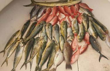 Pet Friendly Tranquil Cottage with Fire-Pit & Hot Tub Minutes to BEACHES - Foto 46