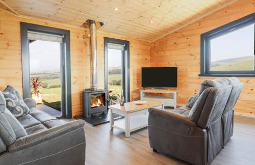 Bacheiddon Log Cabin - Photo 10