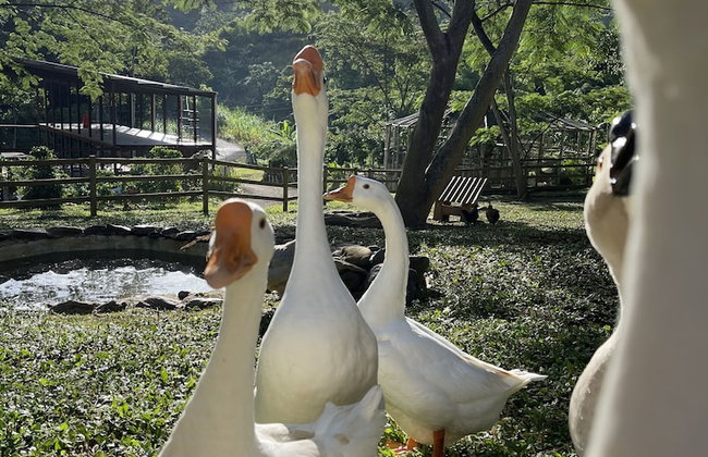 HACIENDA ILUMINADA ECO RETREAT - Foto 18