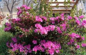 Bangalô Sonho na Serra - Foto 47