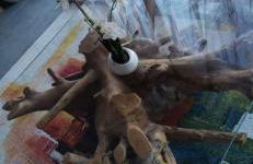 Villa contemporaine - Foto 20