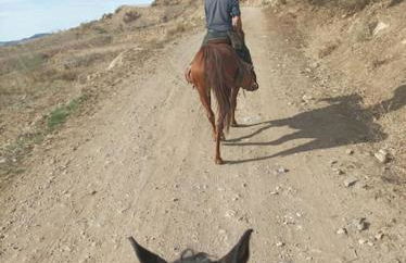 Casa Blanca, Acequias, Lecrin valley, Granada - Foto 36