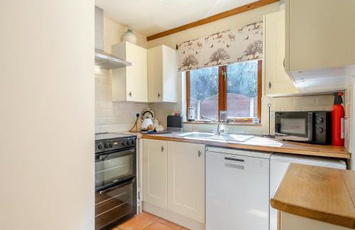 Ash - Uk49524 - Foto 7