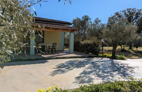 Agriturismo "PIRASTRERI" - Photo 42