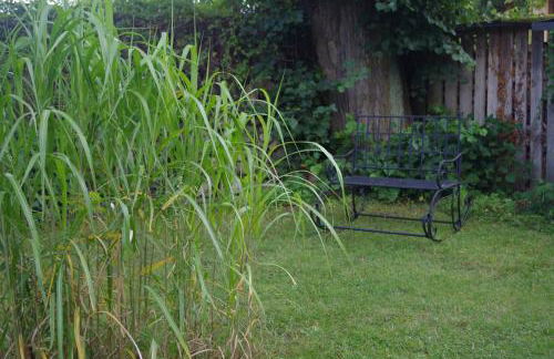 Haus am See in Kleinzerlang - Foto 6