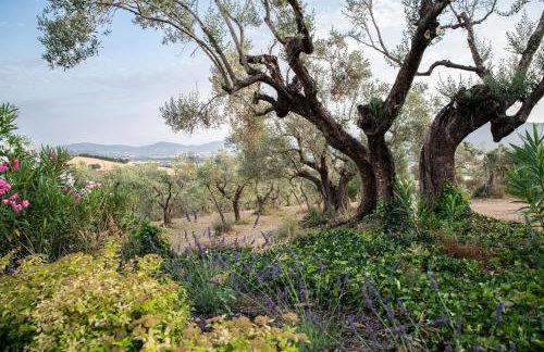 Villa in Agello - Photo 70