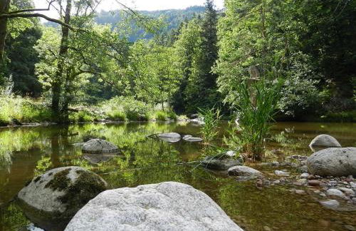 Ferienwohnungen in Schönmünzach - Photo 22