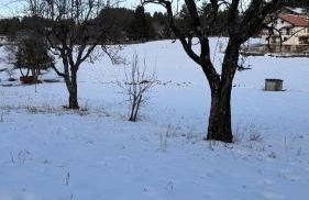 La Rosa della Sila - Foto 13