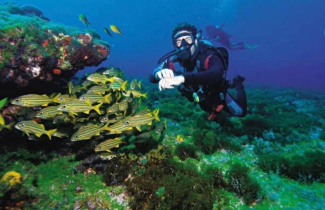 Golden Lake - Foto 54