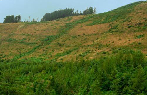 Afan Valley Home - Contractor Accommodation - Foto 22