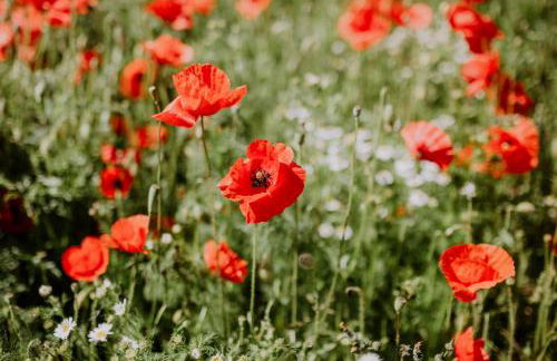 PORT PUDDEMIN Wohnungen an der Marina - Foto 28