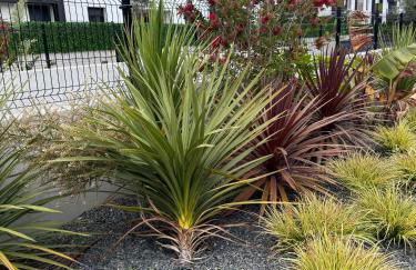 Apartamento con jardin Long Beach Loredo - Foto 31