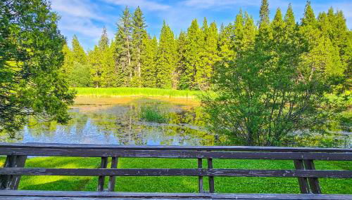 Water's Edge Retreat - Foto 4