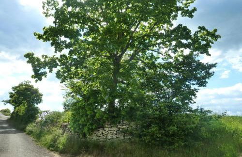 Gite " la prairie" - Foto 24